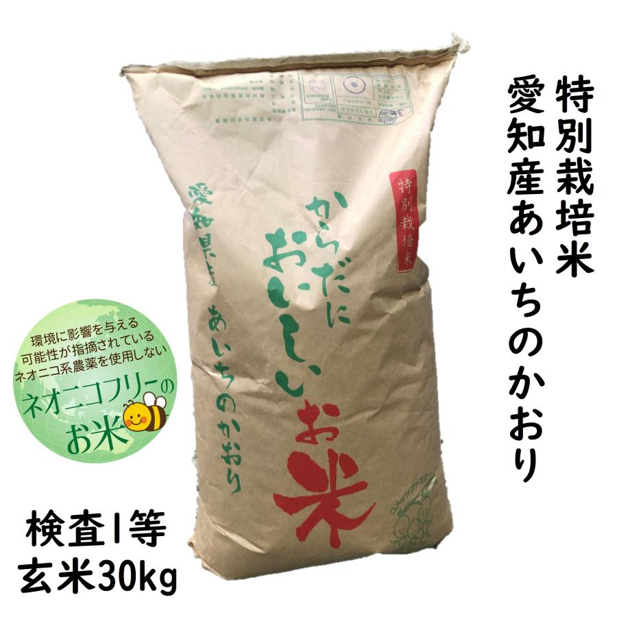 ネオニコフリー 玄米 30kg 令和5年産 愛知県産あいちのかおり 特別栽培米