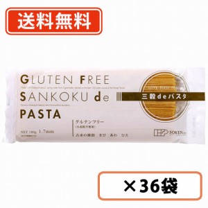 創健社 三穀deパスタ 180g×36袋(12袋入×3ケース)　送料無料(一部地域を除く)　グルテンフリー