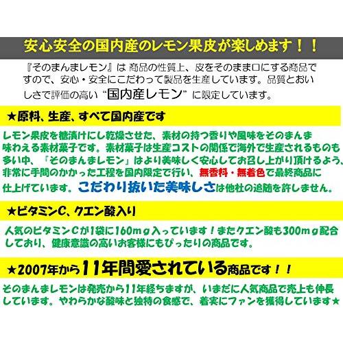 ライオン菓子 そのまんまレモン 25g ×6個