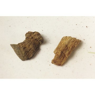 沉水~越南富森紅土沉香【周錦香】約0.91g 越南正區 濃甜蜜韻 甘醇奶香【特惠$3300】福森紅土 薰香 水沉 #5