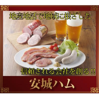 ふるさと納税 安城市 「豚肉を楽しむ」 安城ハム ソーセージ等 5種贅沢詰め合わせDNセット　デンパークハム工房内製造