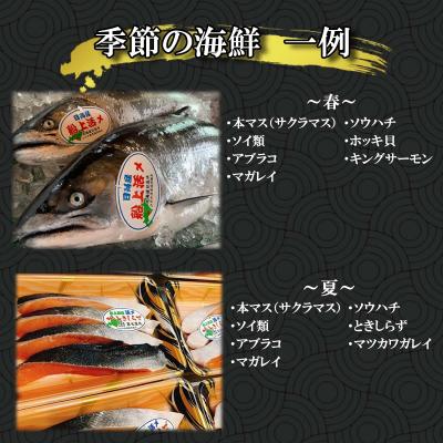 ふるさと納税 新ひだか町 北海道産 旬のお魚 4〜5種 お楽しみ詰め合わせ セット