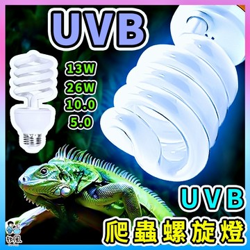 台灣免運現貨【UVB補鈣燈泡🔥】UVB燈泡 烏龜曬背燈 曬背 曬背燈泡 爬蟲燈泡 補鈣燈 紫外線燈泡 多肉植物燈泡