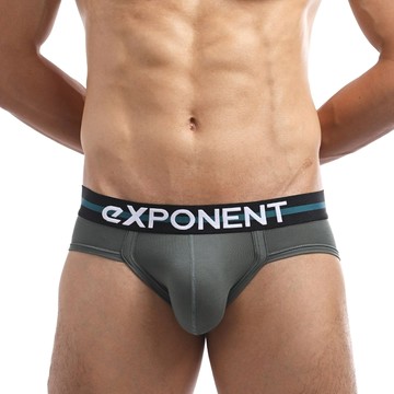 台灣 eXPONENT EveryWear RAYON 每日輕著感 三角內褲  森林綠  S