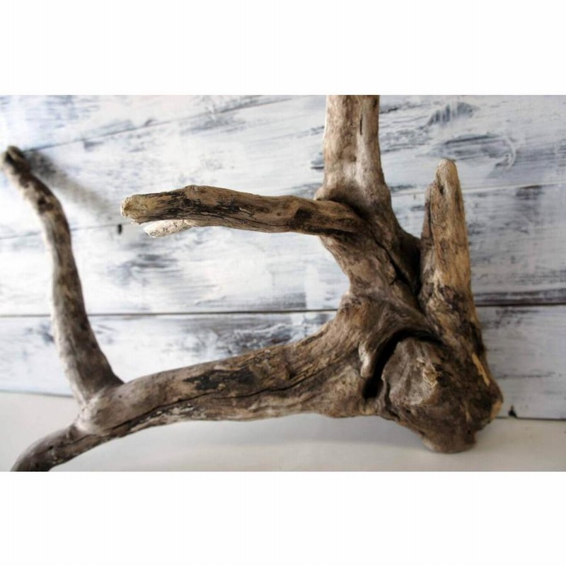 ヤマムラ8点おまとめ アク抜き済流木大型 爬虫類登リ木 ヤマムラ8点お