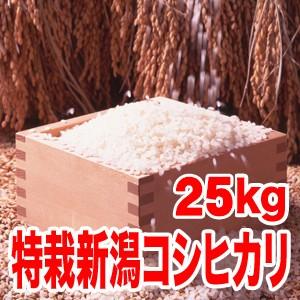 送料無料(北海道・九州・沖縄除く)令和5年産 新米 こだわり！特別栽培米新潟県阿賀野産コシヒカリ25kg