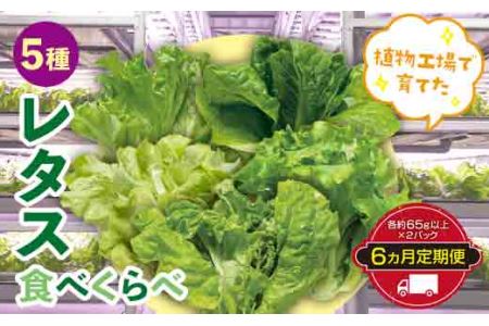 定期便 6ヶ月連続 植物工場で育てた5種のレタス食べくらべセット 10パック F21R-161