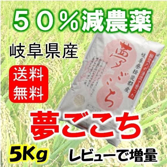 令和５年産岐阜県産 夢ごこち 玄米5Kg北海道 沖縄 離島は追加送料