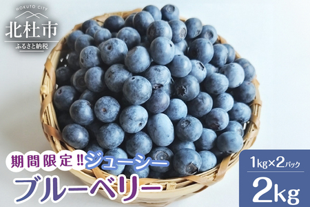 大人気！甘くジューシーな冷凍ブルーベリー2kg（1kg×2パック）