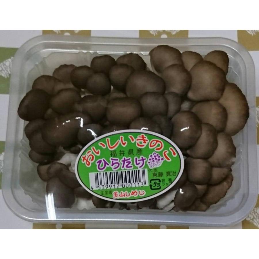 　ひらたけしめじ　１００ｇ