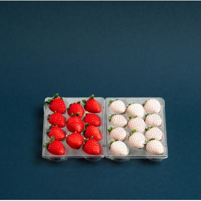 ふるさと納税 佐賀市 佐賀県産いちご　赤いちごと白いちご　食べ比べセット