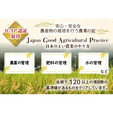 ふるさと納税 福井県大野市産 JGAP認証 コシヒカリ「あかね」10kg [C-007001] 福井県大野市