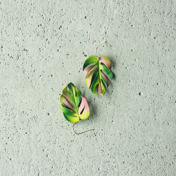 熱帶植物-姬龜背 純銀耳環 Tropical series