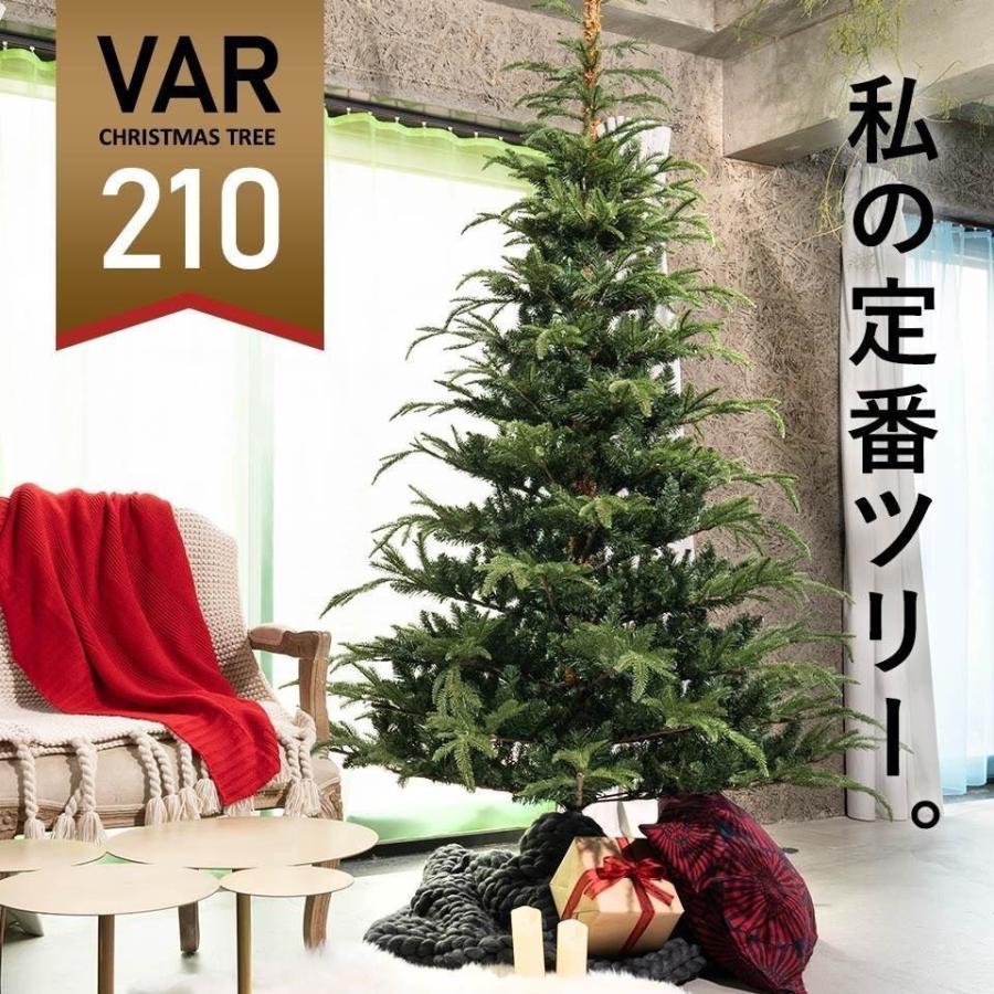 クリスマスツリー の木 210cm ヌードツリー 北欧 フィンランド VAR