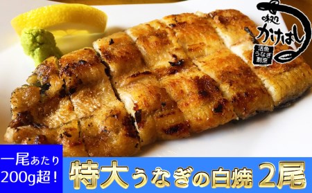 特上 うなぎの白焼き 2尾