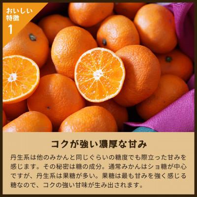 ふるさと納税 海南市 蔵出しみかん丹生系 |和歌山県海南市下津町の特産品の高級品種　5kg