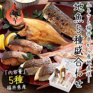 干物 漬け魚 福井の地魚 5種詰め合わせ 真鯛 鰆 サーモン 連子鯛 赤カレイ ギフト グルメ プレゼント ［送料無料］ 冬グルメ 冬ギフト