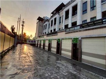 善化貝森朵夫朝南美車墅｜台南市善化區牛庄