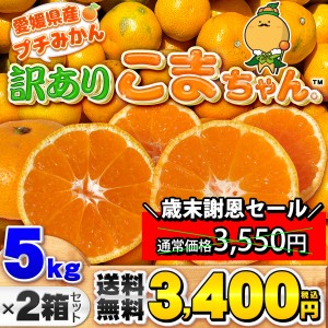 愛媛県産 訳あり こまちゃん 5kg×2箱セット 家庭用 訳あり 送料無料 箱買い 蜜柑 温州 10キロ