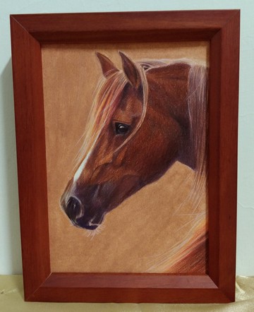 擺設 / 駿馬 / 色鉛筆畫 / 原稿 / 含框