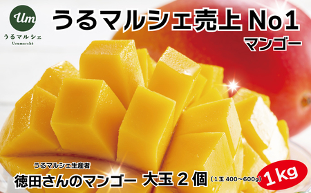 徳田さんの極上贈答用マンゴー　大玉2個　約１kgアップルマンゴー　マンゴー　極上　贈答用　沖縄県産