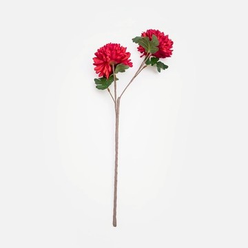 Flora芙蘿拉花插牡丹球菊70cm 桃紅