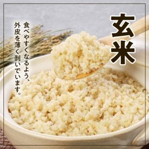 ふるさと納税 宮崎ヒノヒカリ 延岡産 白米と白い玄米セット 合計16.6kg　N0149-ZB807 宮崎県延岡市