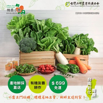機善蔬菜箱 【機善小農_蔬菜箱】台南市新化青農_經濟箱 9 件(每週出箱)(有機友善/產地鮮採直送/支持家鄉好農產)