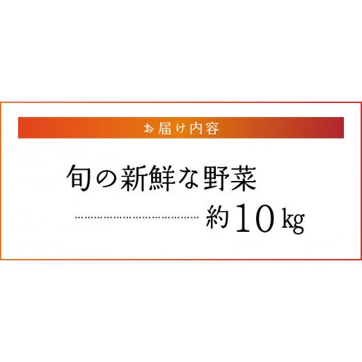 ふるさと納税 福岡県 久留米市 福岡県久留米市産　新鮮野菜セット