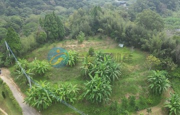 北埔綠世界旁景觀休閒小農地｜新竹縣北埔鄉溝背段
