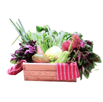 小家庭組(1周)友善耕作(友善耕作葉菜5-6份+友善耕作根莖瓜果2-3份+自產農產加工品0-1份)