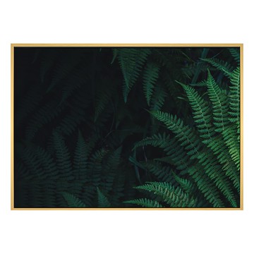 仲夏的交響曲I 30 x 40cm 木色 裱框