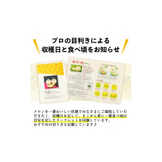 ふるさと納税 鹿児島県 志布志市 b0-106 牧さんの訳ありメロン 白玉(青肉)計2玉