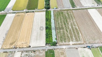 埒內雙面臨路｜有機認證溫室農地首選｜雲林縣虎尾鎮埒內