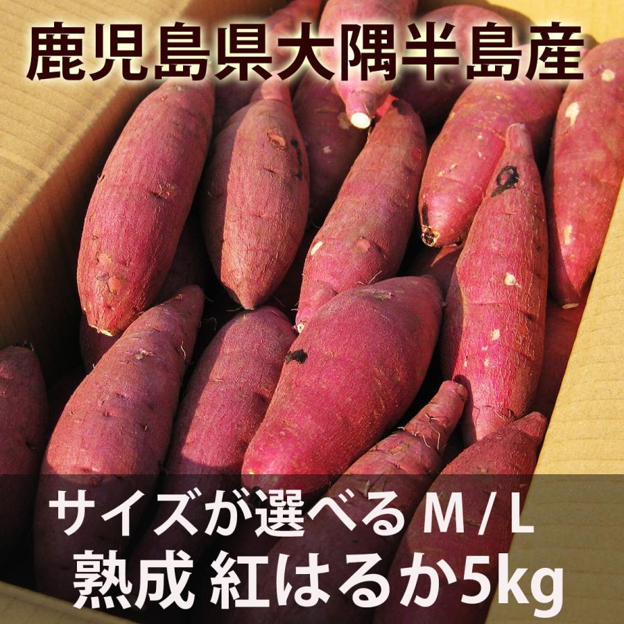 鹿児島のさつまいも「紅はるか」５kg サイズが選べる M・L・２Ｌ  熟成 べにはるか