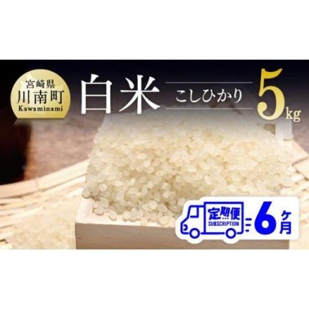 ふるさと納税 令和5年産 白米こしひかり 5kg【 穀物 コメ 白米 全6回米 国産お米 お米 米飯 宮崎県産お米 九州産お米 全6回 お米.. 宮崎県川南町