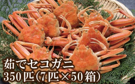 セコガニ 300匹！（約120g×6匹入り×50箱） 釜茹で 冷凍 発送目安：11月中旬以降発送 最大50箇所配送OK 濃厚なかにミソとやみつきになる内子、外子が絶品です 数量限定 産地直送 鮮度抜群 絶妙の塩加減での茹で上げ 大人気 ふるさと納税 香美町 香住 国産 カニ 松葉ガニ せいこがに メスガニ 日本海フーズ 07-106