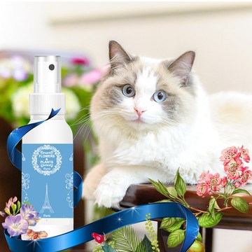 Flowers&Plants 寵物精油乾洗澡(銀月桂花250ML