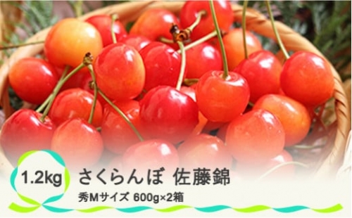 先行予約 さくらんぼ 佐藤錦 秀Mサイズ バラ詰め 1.2kg(600g×2箱) 2024年産 令和6年産 山形県産 ns-snsmb1200