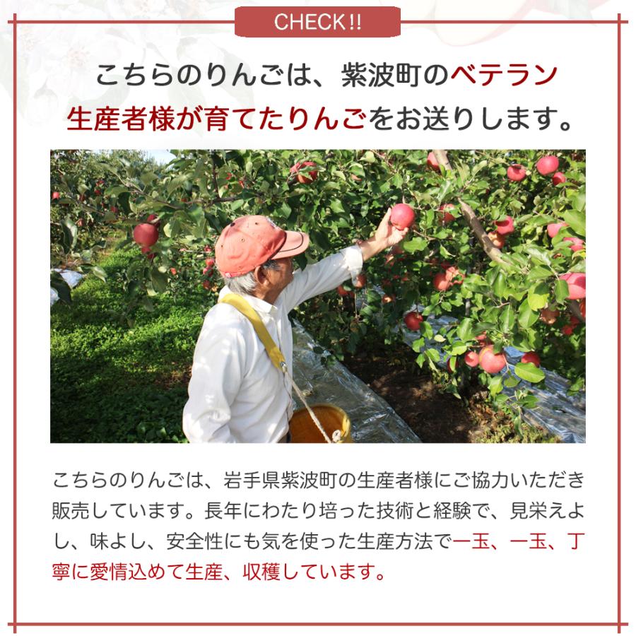 りんご 産地直送 岩手県産 ふじ 2kg 5-6玉入り サンふじ 秀品 贈答 ギフト 農家直送 林檎 リンゴ 果物 無袋栽培 樹上完熟