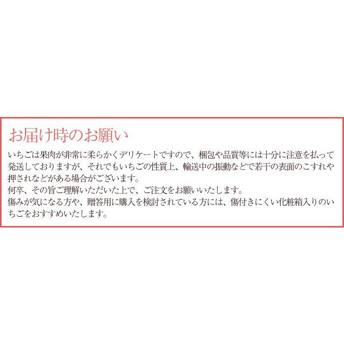 いちご あまおう グランデ Ｇ 300ｇ×2パック 福岡県産 苺 イチゴ ギフト お取り寄せ