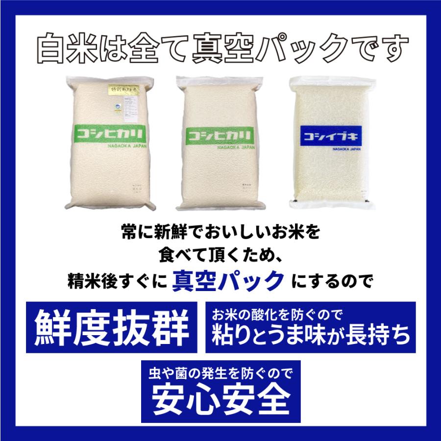 お米 ごはん白米 5kg 5キロ 新潟県産 こしいぶき コシイブキ 令和5年産