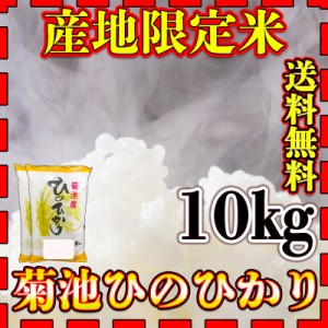 お米 米 10kg 白米 送料無料 熊本県 菊池産 ひのひかり あす着 新米 令和5年産 ヒノヒカリ 5kg2個 産地限定米 くまもとのお米