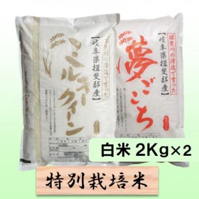 ふるさと納税 池田町 特別栽培米4kg(ミルキークイーン 夢ごこち)
