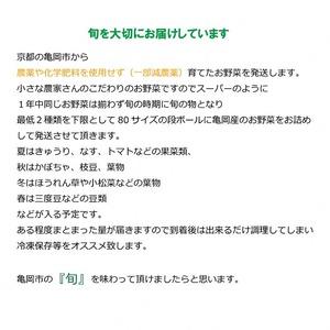 ふるさと納税 亀岡産 キヌヒカリ 2kg ＆ 野菜詰め合わせ　有機野菜・京野菜の『京都やおよし』オーガニック 有機JAS 栽培期間農薬不使用 減農薬 .. 京都府亀岡市