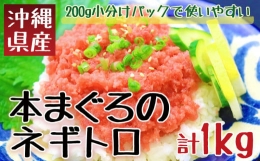 沖縄県産　本まぐろネギトロ　1kg（200g×5パック）