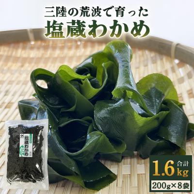 ふるさと納税 石巻市 塩蔵わかめ 200g×8袋 1.6kg