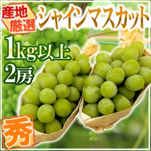 ”シャインマスカット” 秀品 2房 約1kg以上 産地厳選