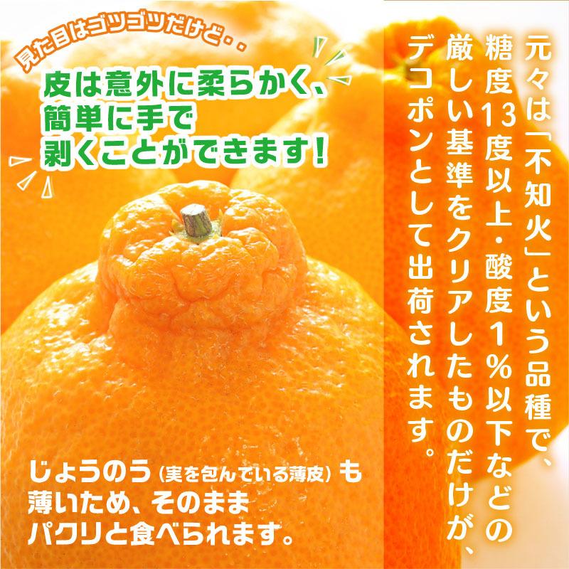 デコポン 熊本県産 秀品 2kg 7-10玉 糖度13度以上 光センサー選果 高糖度 濃厚 贈り物 贈答 ギフト プレゼント お土産 先行予約 常温便