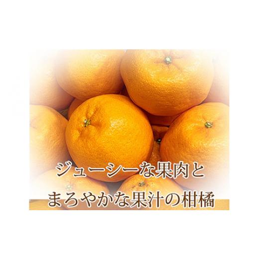 ふるさと納税 和歌山県 美浜町 紀州和歌山有田産ポンカン 5kg※2024年2月上旬頃〜2月中旬頃に順次発送予定